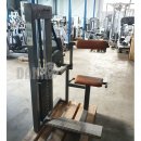 Gym80 Rckenstreckermaschine, Hyperextension, Back Extension, Old school, 120kg Gewichtsblock, gebraucht