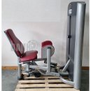 Life Fitness Abduktorenmaschine, Hip Abduction Abductor, Signature Series, Rahmenfarbe Silber, gebraucht - berholter Zustand