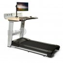 Life Fitness InMovement, Schreibtisch Laufband, Treadmill Desk Bro, Rahmen Silber, Ablage Hell, 1 Jahr alt, NEUwertig - Top Zustand