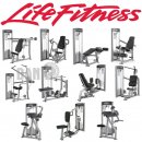 Life Fitness Optima Series - 11 Kraftgerte im Set, inkl. NEUPOLSTERUNG nach Wunsch, gebraucht - berholter Zustand