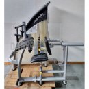 SportsArt Trizepsmaschine Horizontal S925 A925 N925 Trizepsstrecker, Triceps Extension, Rahmenfarbe Silber, gebraucht - berholter Zustand