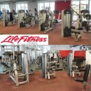 Life Fitness Set 10 Kraftgeräte, Signature Serie, Rahmen Silber, Polster Schwarz, gebraucht - überholter Zustand